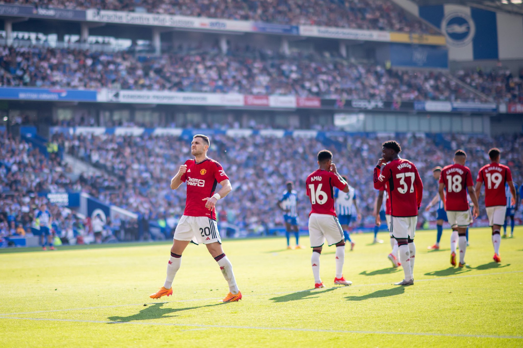 本周六我们 本周六我们