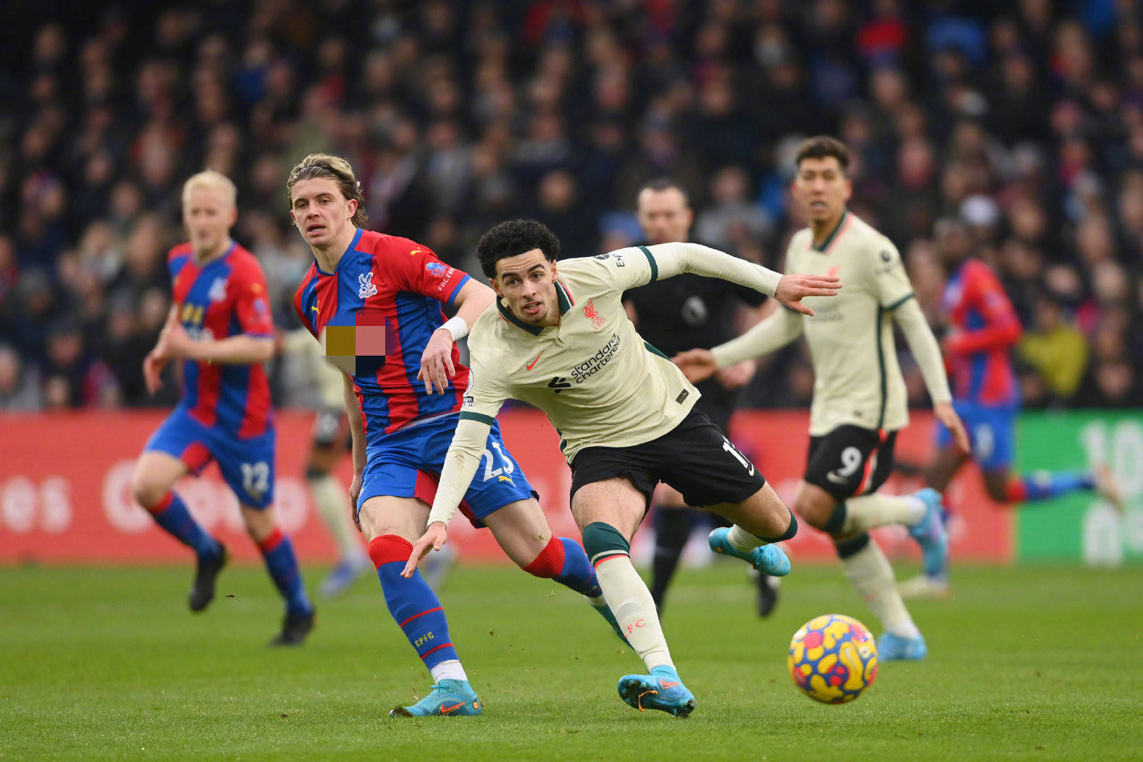 更是對教練 更是對教練